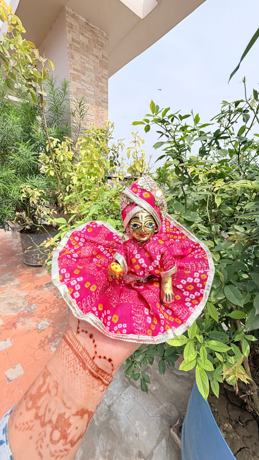 Rani  kurta poshak