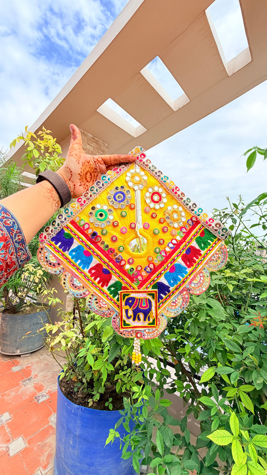 Navratri rang