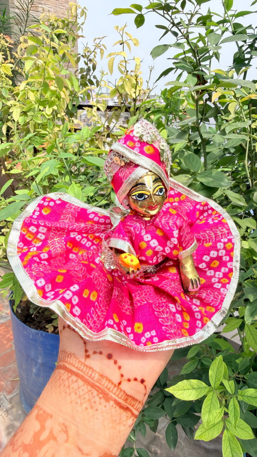 Rani  kurta poshak